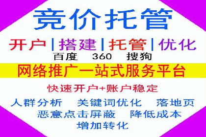 某品牌SEM推广策略的成效与启示